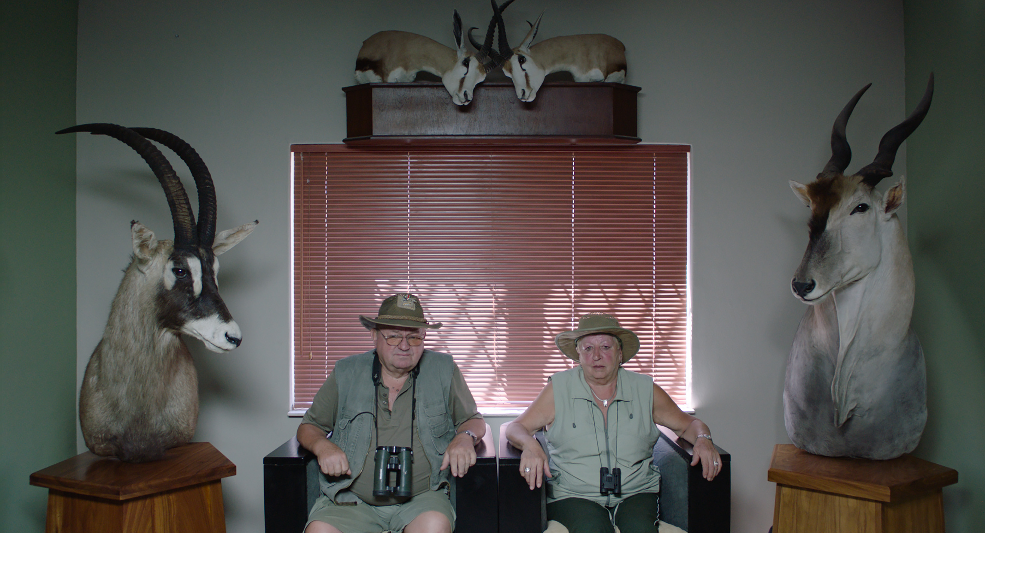 „Safari” - zapowiedź Millennium Docs Against Gravity Gdynia FF 2017